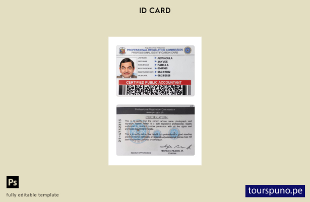Plantilla de tarjeta de identificación profesional de Filipinas lista para impri
